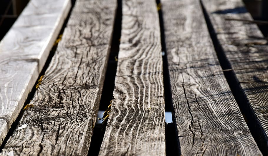 web, plank, close, weathered, grain, structure, texture, away HD wallpaper