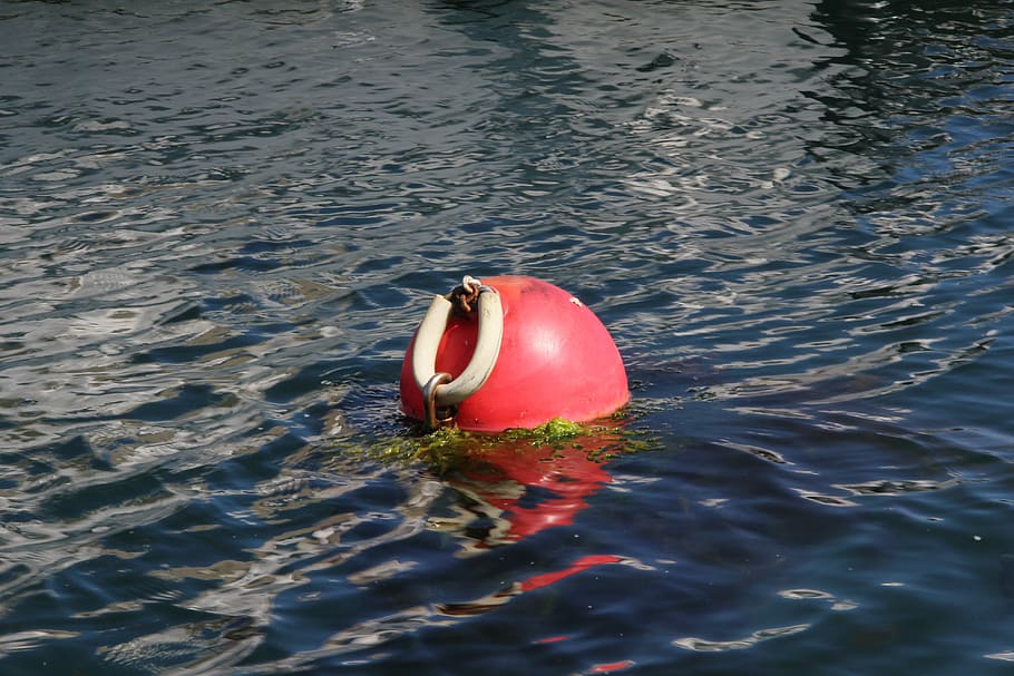 HD wallpaper: buoy, sea, fishing, water, float, sport, floating On Water