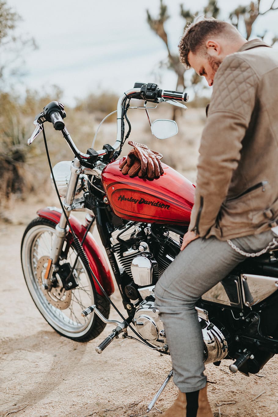 man sits on red and black Harley-Davidson motorcycle during daytime, man riding cruiser motorcycle