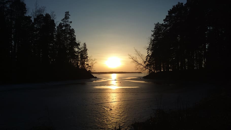 sunset, aurigonlasku, twilight, evening, tree, plant, sky, beauty in nature HD wallpaper
