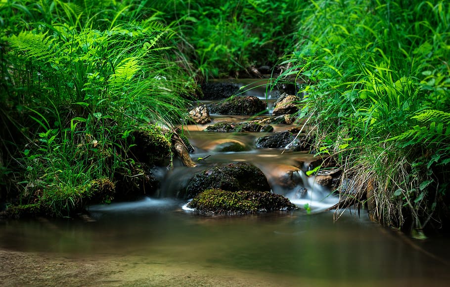 Creek, Torrent, Nature, Slovakia, Water, the freshness of the, HD wallpaper