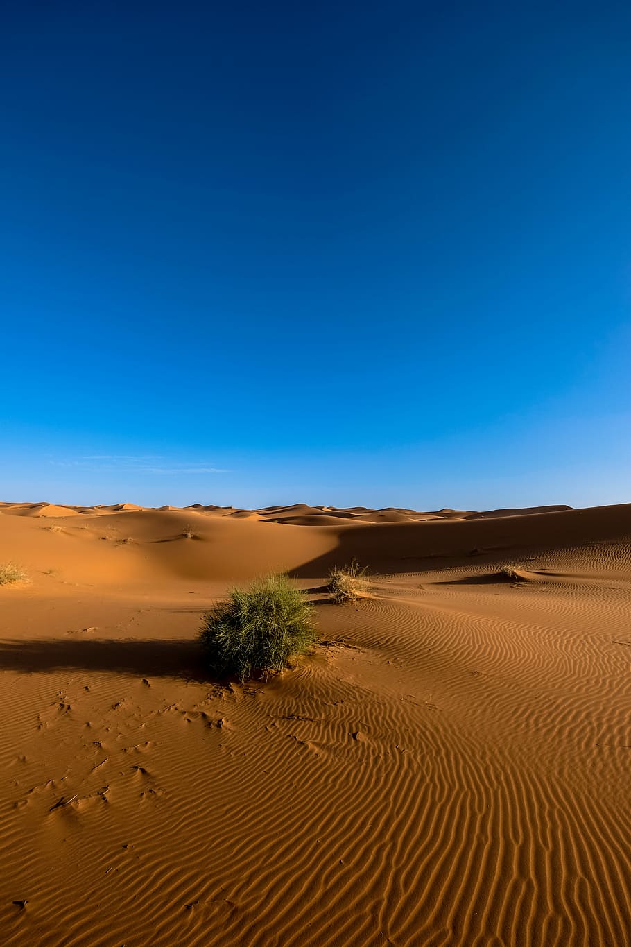 desert during daytime, high angle-view of desert, dune, sand HD wallpaper