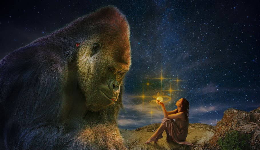 Gorilla and woman sitting on surface animated photo, glow, ape HD wallpaper