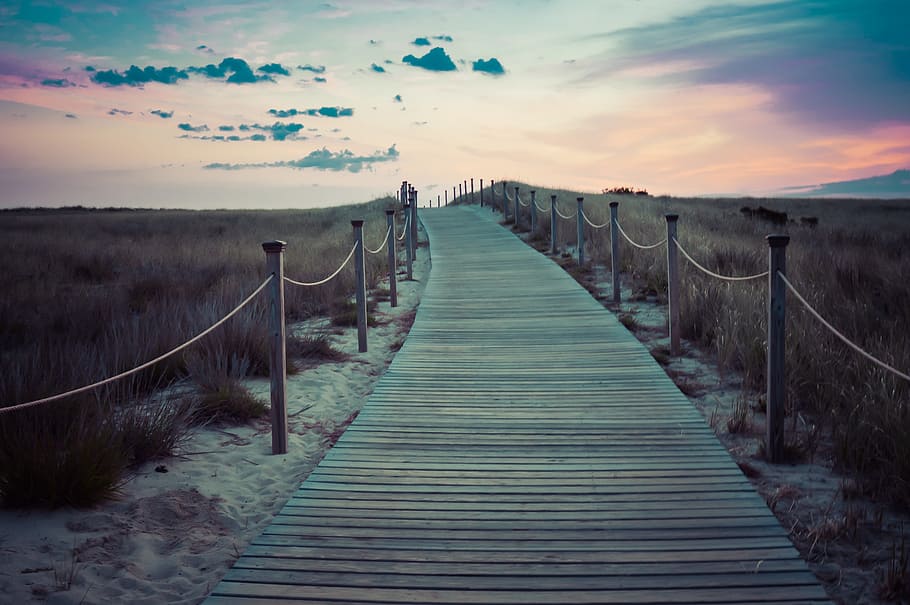 bridge, walkway, path, nature, walk, pathway, wooden, trail HD wallpaper