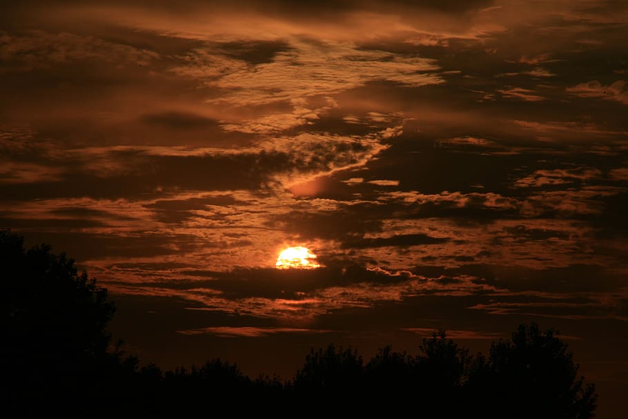 east, sun, sky, cloud, red, cloud - sky, beauty in nature, tree HD wallpaper