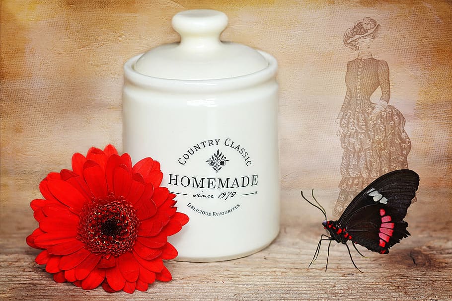 jam container, jam jar, flower, gerbera, blossom, bloom, red HD wallpaper