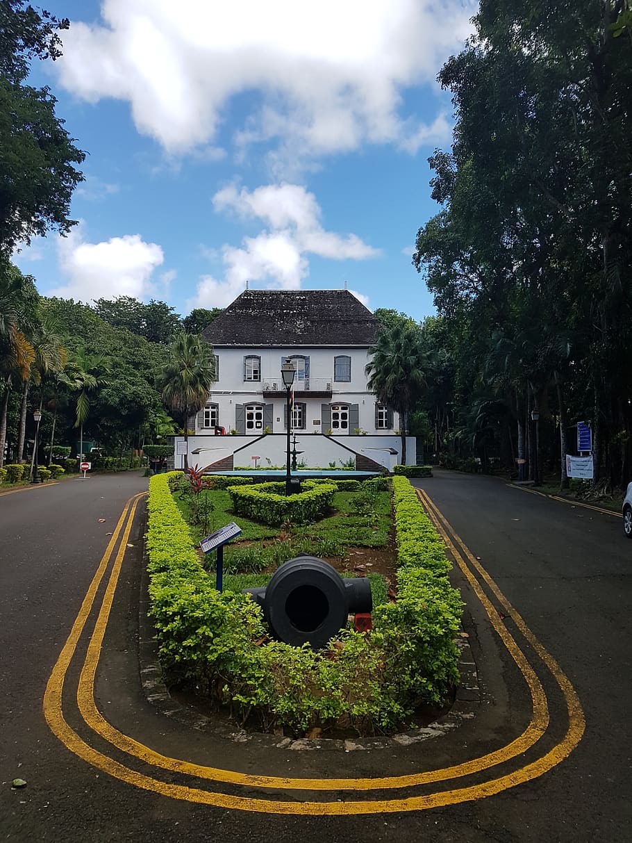 mahebourg museum, mauritius, plant, tree, road, transportation