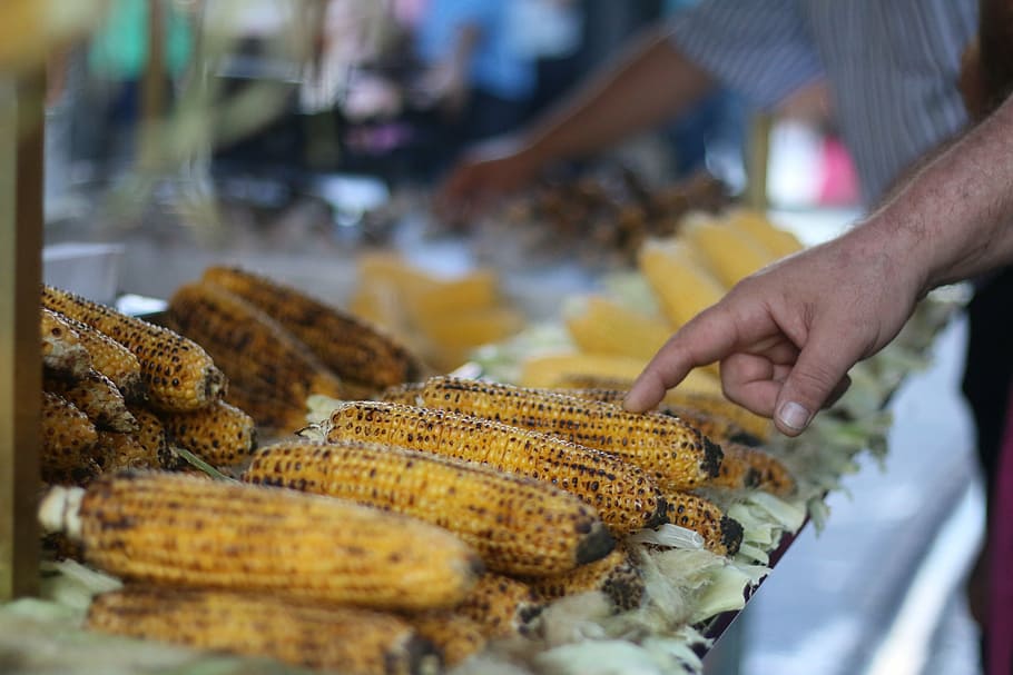 the peddler, hawker, selection, food and drink, human hand HD wallpaper