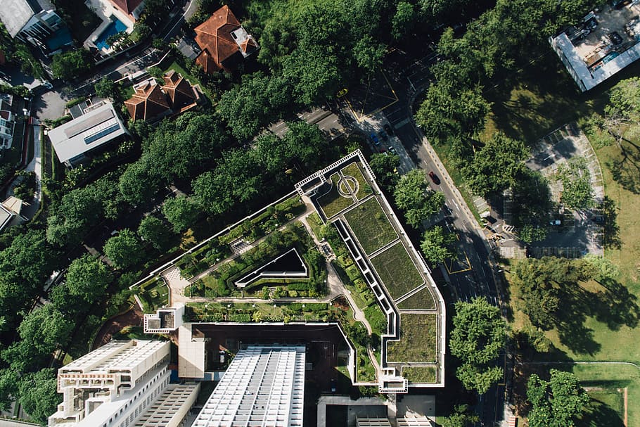 aerial photo of green leaf trees and buildings, aerial photography of buildings surrounded by trees HD wallpaper