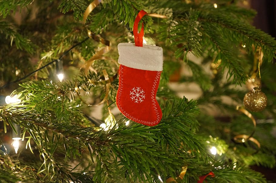 red Christmas stocking on pre-litted Christmas tree, Christmas, Stocking HD wallpaper