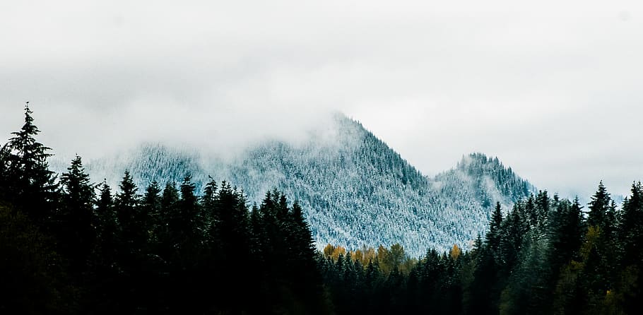 Mountain Alps Near Pine Trees, blue sky, clouds, cold, color HD wallpaper