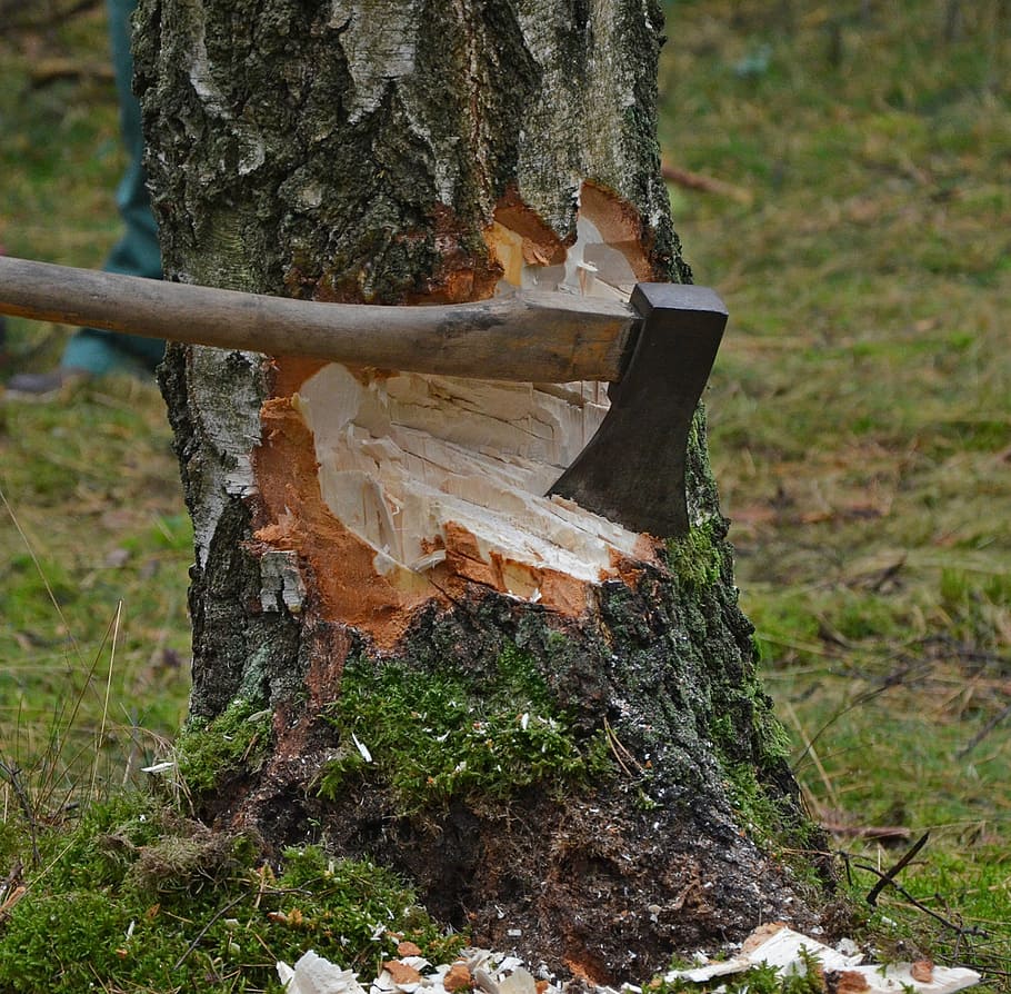 brown axe on tree trunk, cut tree, wood, cases, strains, woodworks