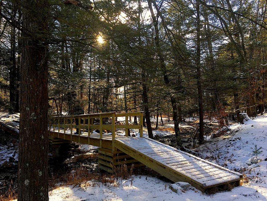 Snow, Bridge, Forest, Park, Winter, nature, landscape, cold HD wallpaper