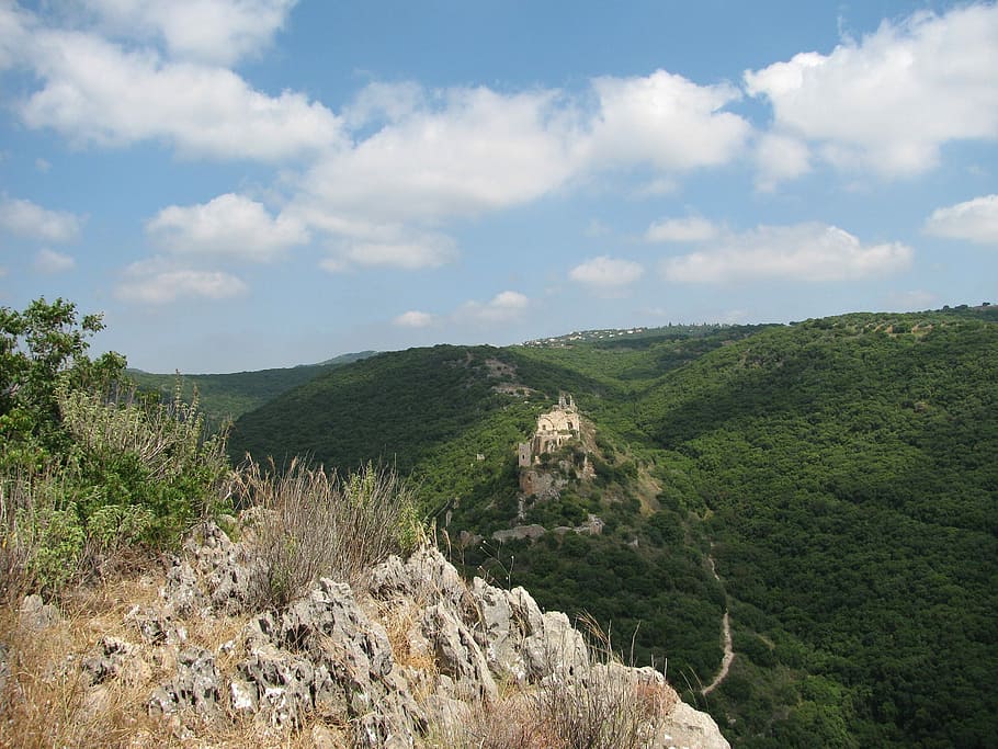Hills and Trees in Israel, clouds, forest, photos, public domain HD wallpaper
