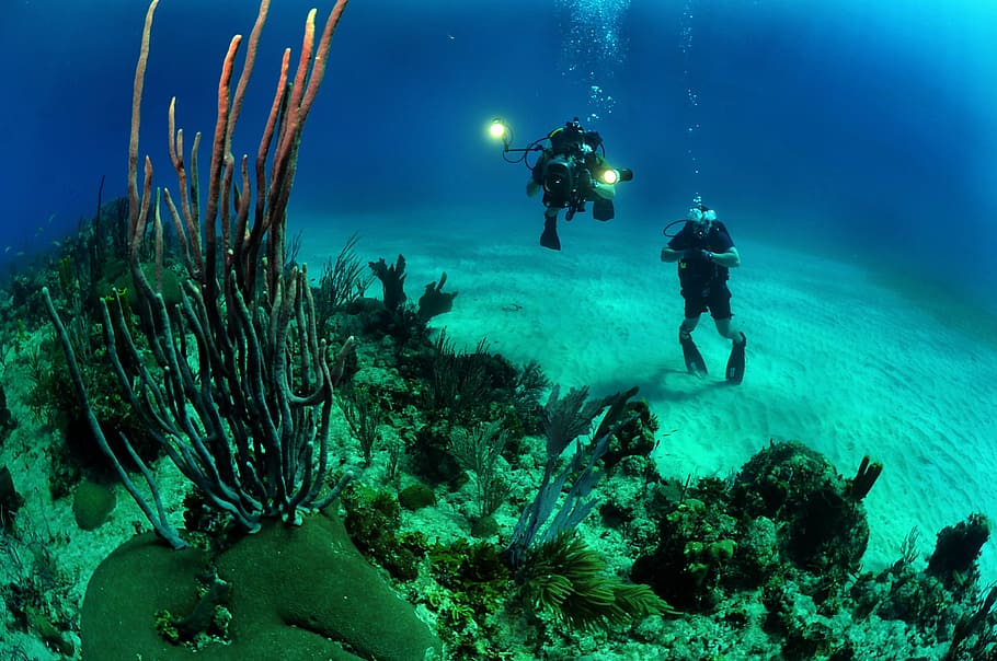 two divers taking photo under sea, ocean, water, underwater, lights