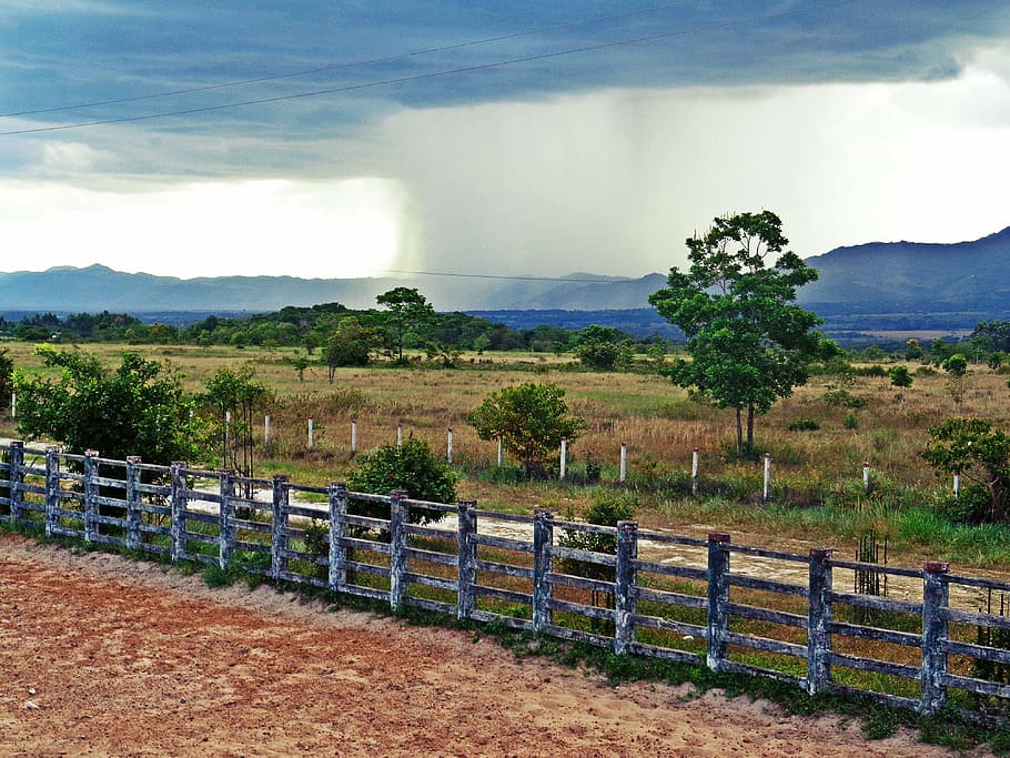 rain, landscape, tree, casanare, colombia, sky, cloud - sky HD wallpaper