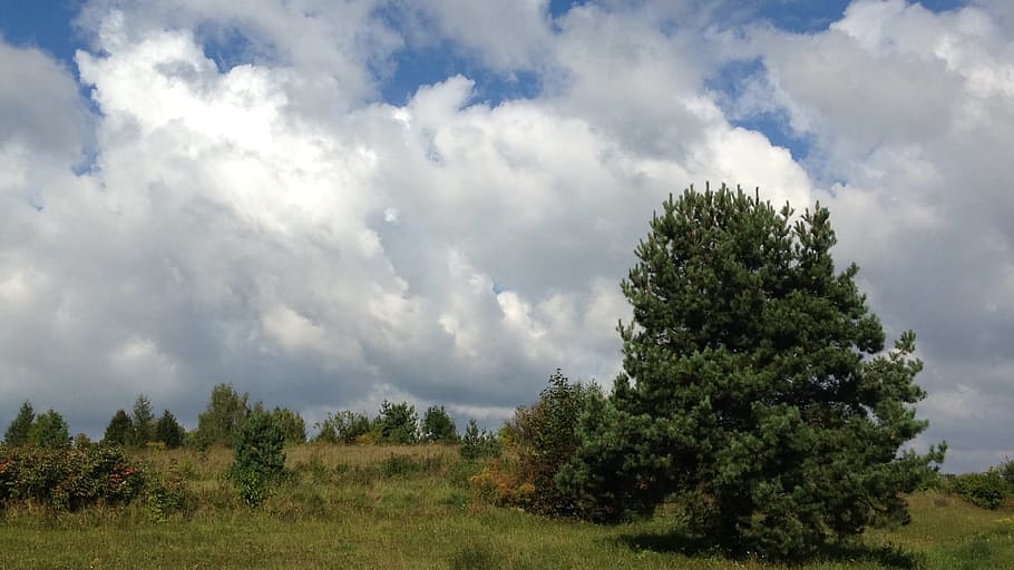 Clouds, Landscape, Nature, sky, the beauty of nature, cloud cover HD wallpaper