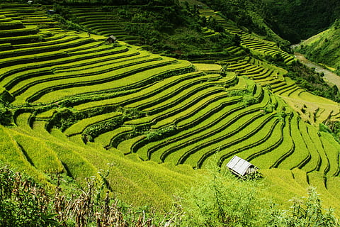 HD Wallpaper: Landscape, Rice Fields, Asia, Yen Bai, Vietnam, Mu Cang ...