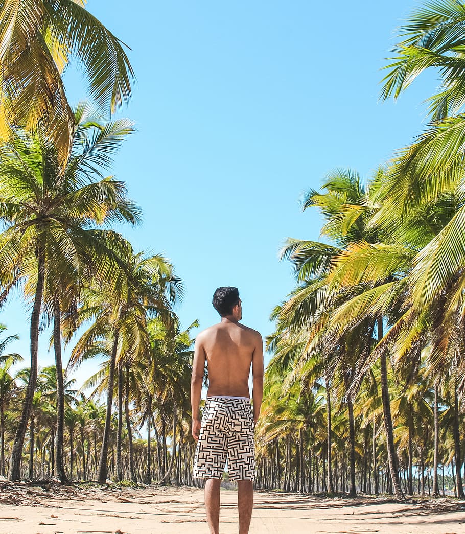 man standing on empty road in between coconut trees, man standing between coconut trees during daytime HD wallpaper