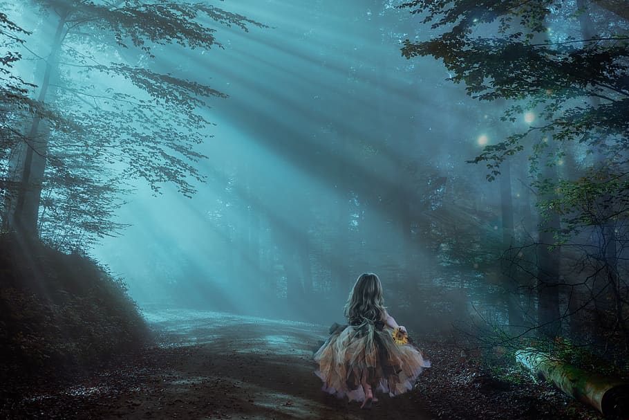 forest, night, fantasy, trees, light, mystery, mystic, magic, HD wallpaper
