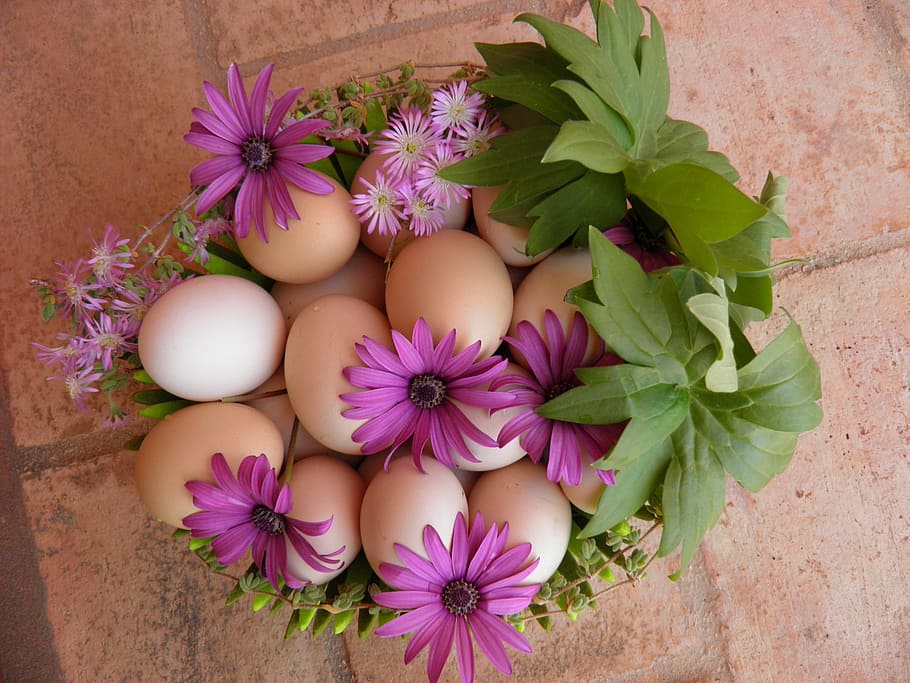 Easter Egg Hunt, Garland, holiday, celebration, spring, decorative HD wallpaper