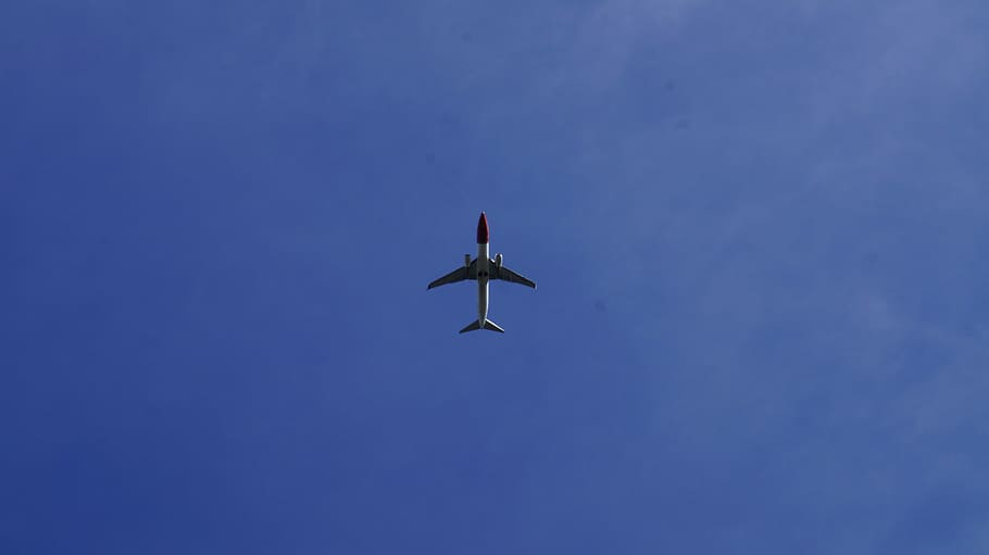 Plane, Sky, Blue, Flight, the plane, airplane, flying, air Vehicle HD wallpaper