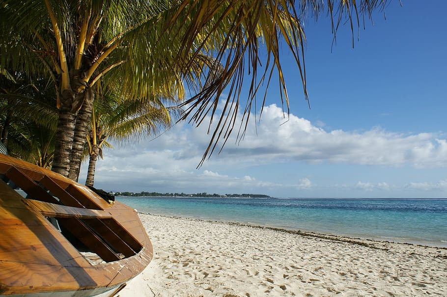sea beside coconut trees, ocean, boat, palm tree, clouds, blue HD wallpaper