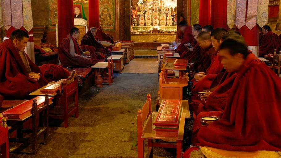 Tibet, Monastery, Monks, Gyantse, Prayer, buddhism, indoors, HD wallpaper