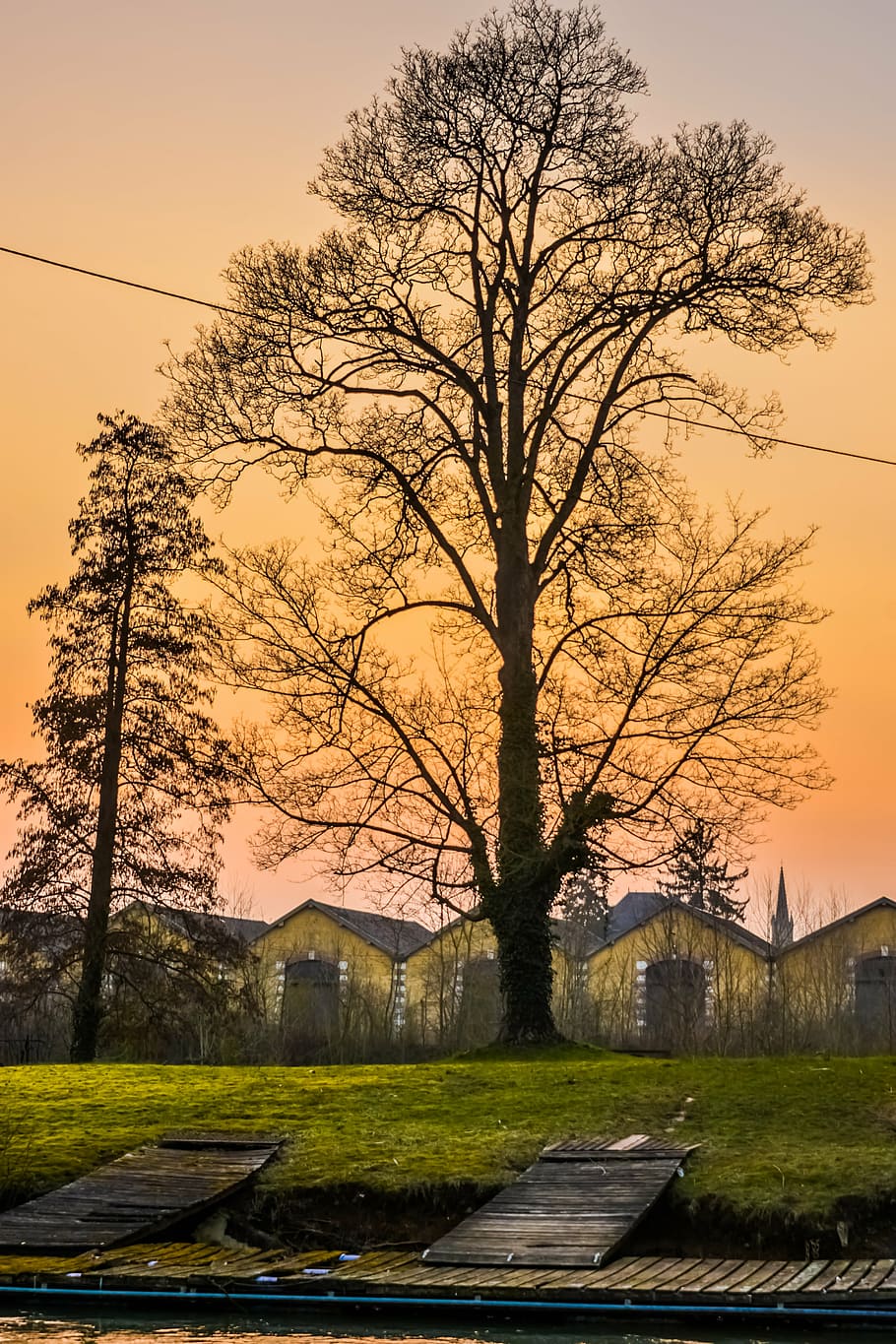 twilight, sunset, nature, tree, plant, sky, bare tree, no people HD wallpaper
