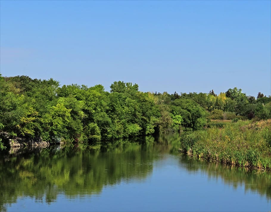 water, trees, reflection, river, creek, nature, landscape, blue HD wallpaper