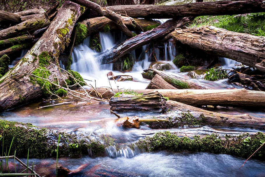 long exposure, stream, dam, beaver dam, river, water, logs HD wallpaper