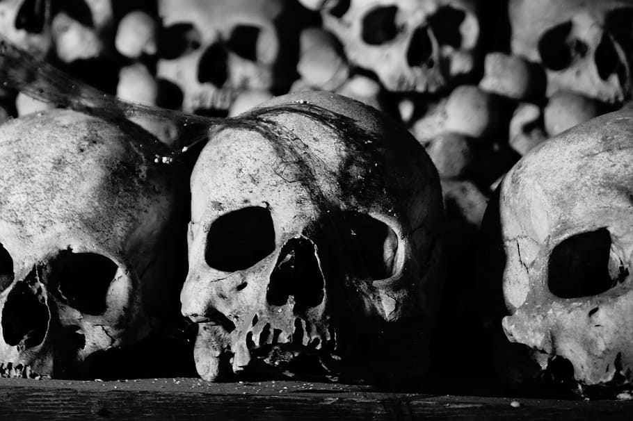 three skull on black surface, skull and crossbones, bone church, HD wallpaper