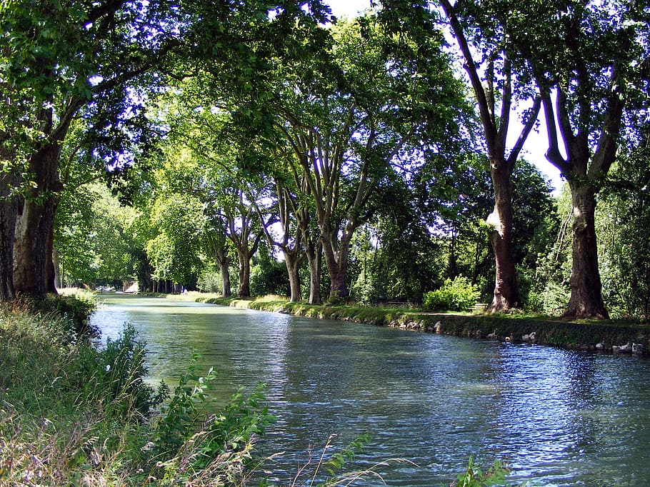 river, channel, trees, nature, doubs, dole, france, summer HD wallpaper