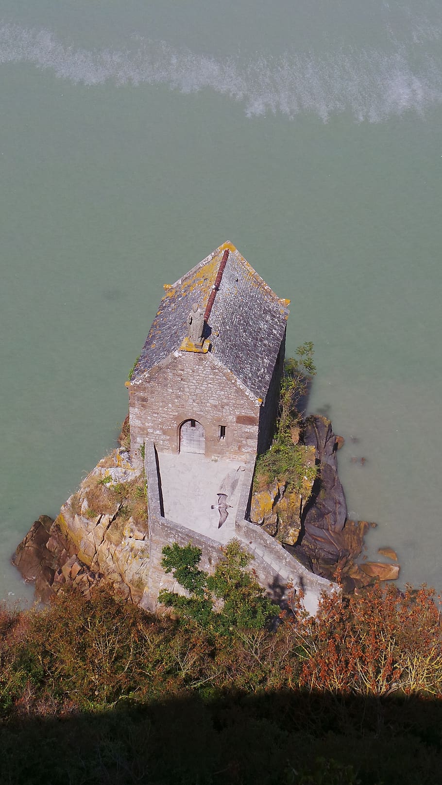 chapel, sea, seagull, architecture, water, built structure HD wallpaper