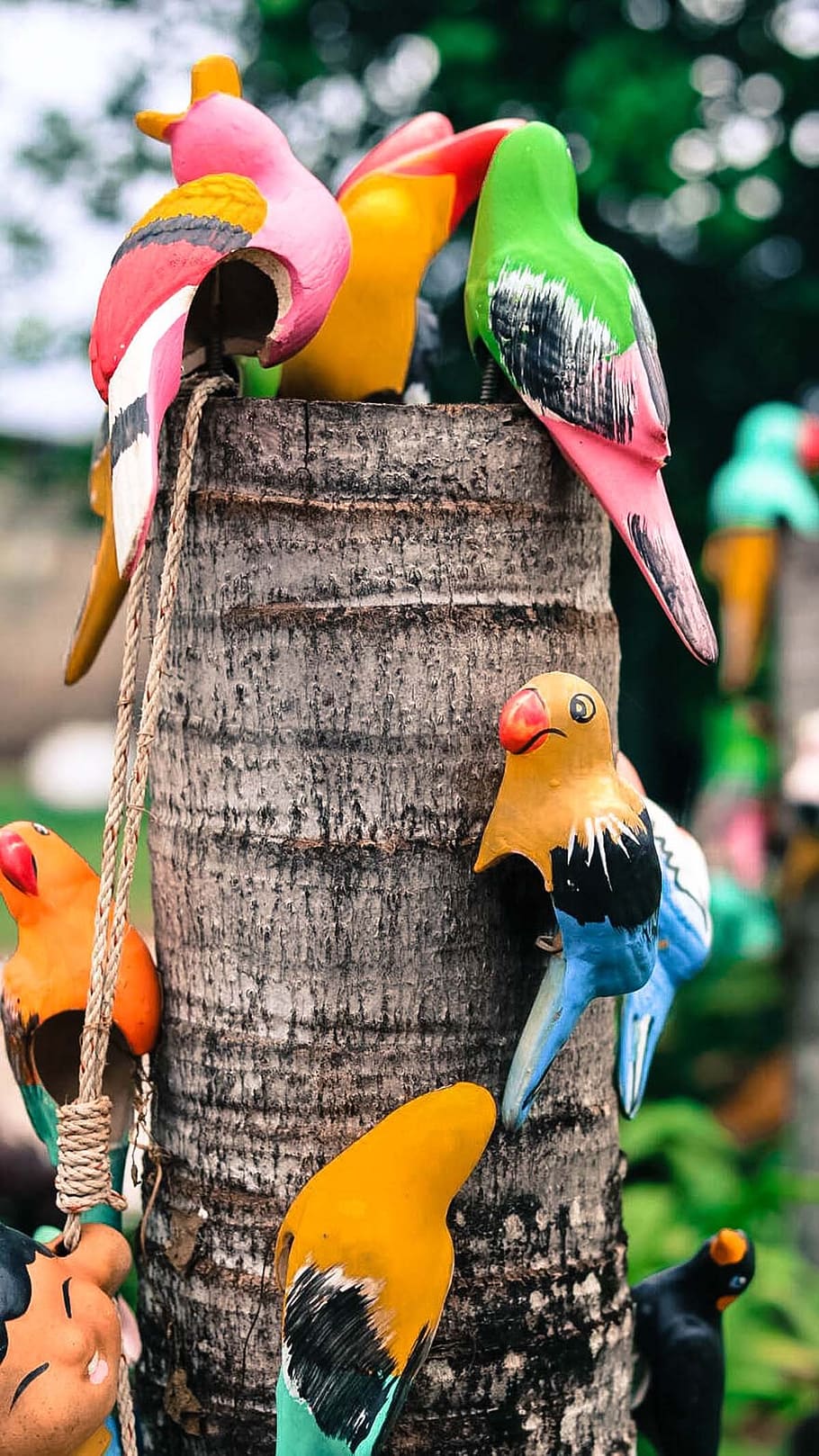 birds, ceramic, pottery, pretty, focus on foreground, day, animal wildlife HD wallpaper