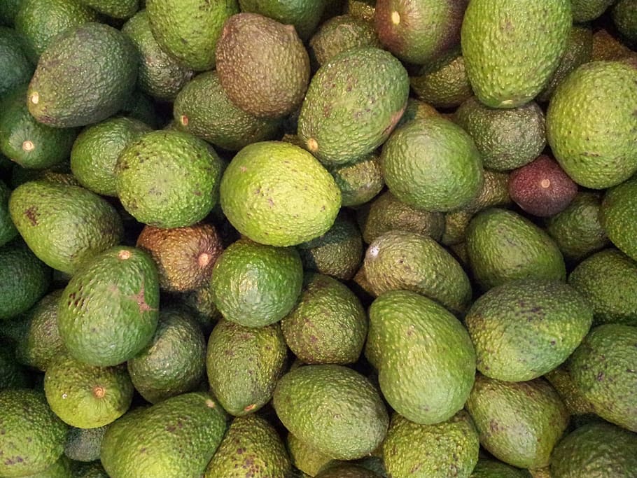 avocados, Avocado, Green, Green, Vegetable, Fresh, healthy HD wallpaper