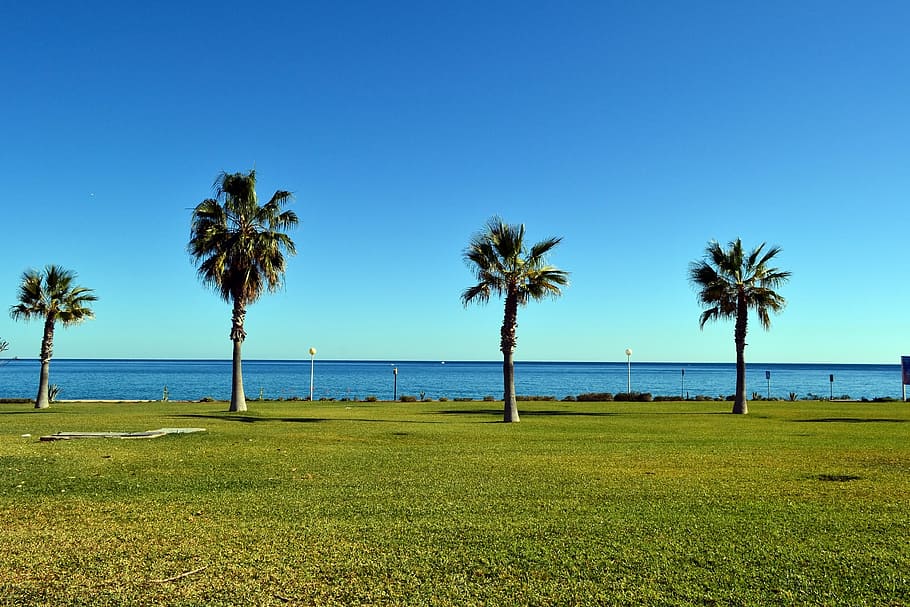 landscape, palm, mojacar, spain, resort, coast line, summer HD wallpaper