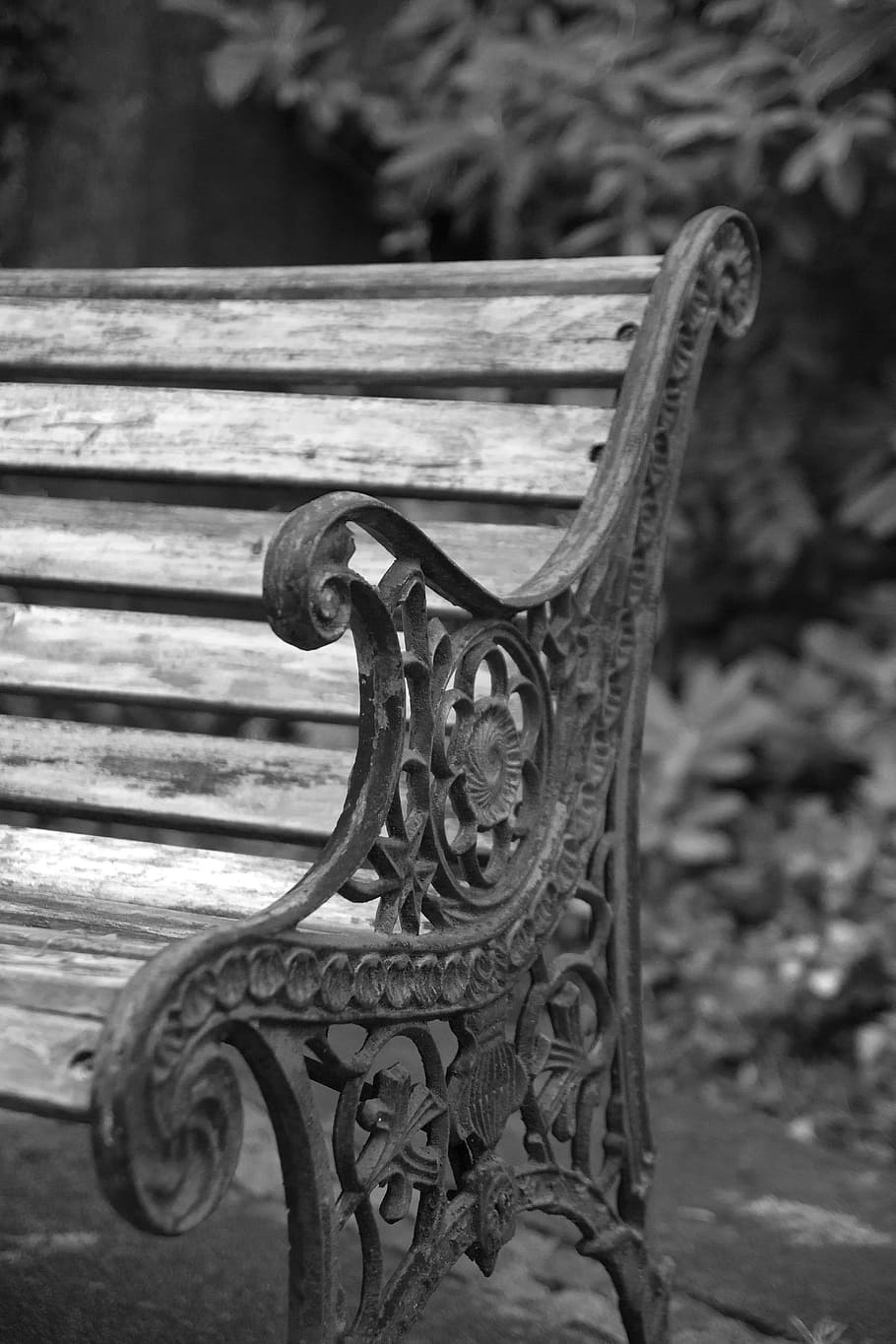 Bank, Rustic, Old, Garden, close-up, metal, no people, focus on foreground HD wallpaper