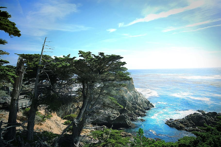 ocean, sea, waves, coast, blue, sky, trees, rocks, shore, water HD wallpaper
