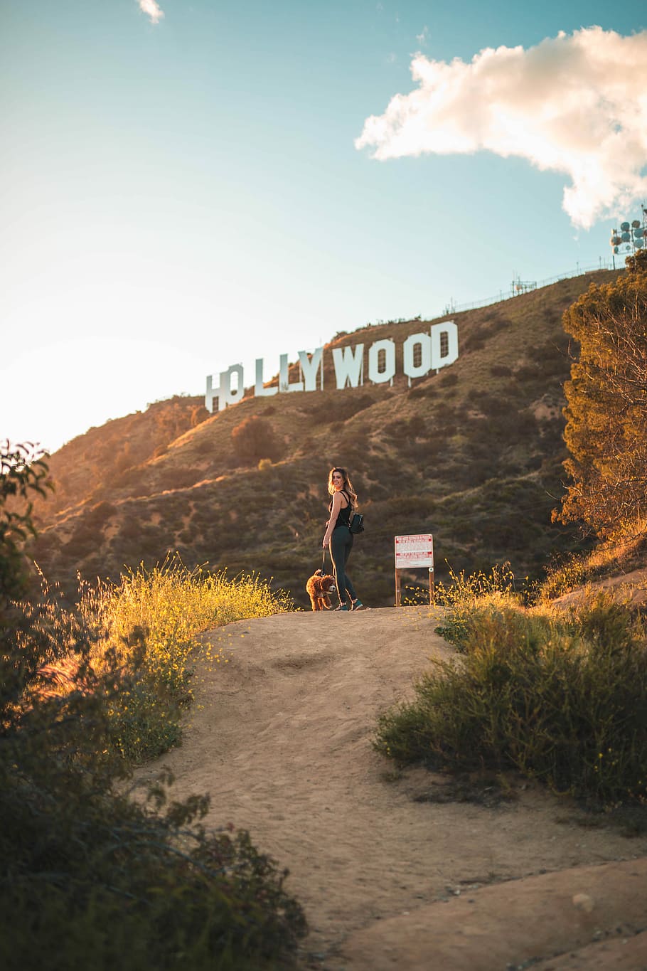 Hollywood Sign Stock Photos Images and Backgrounds for Free Download