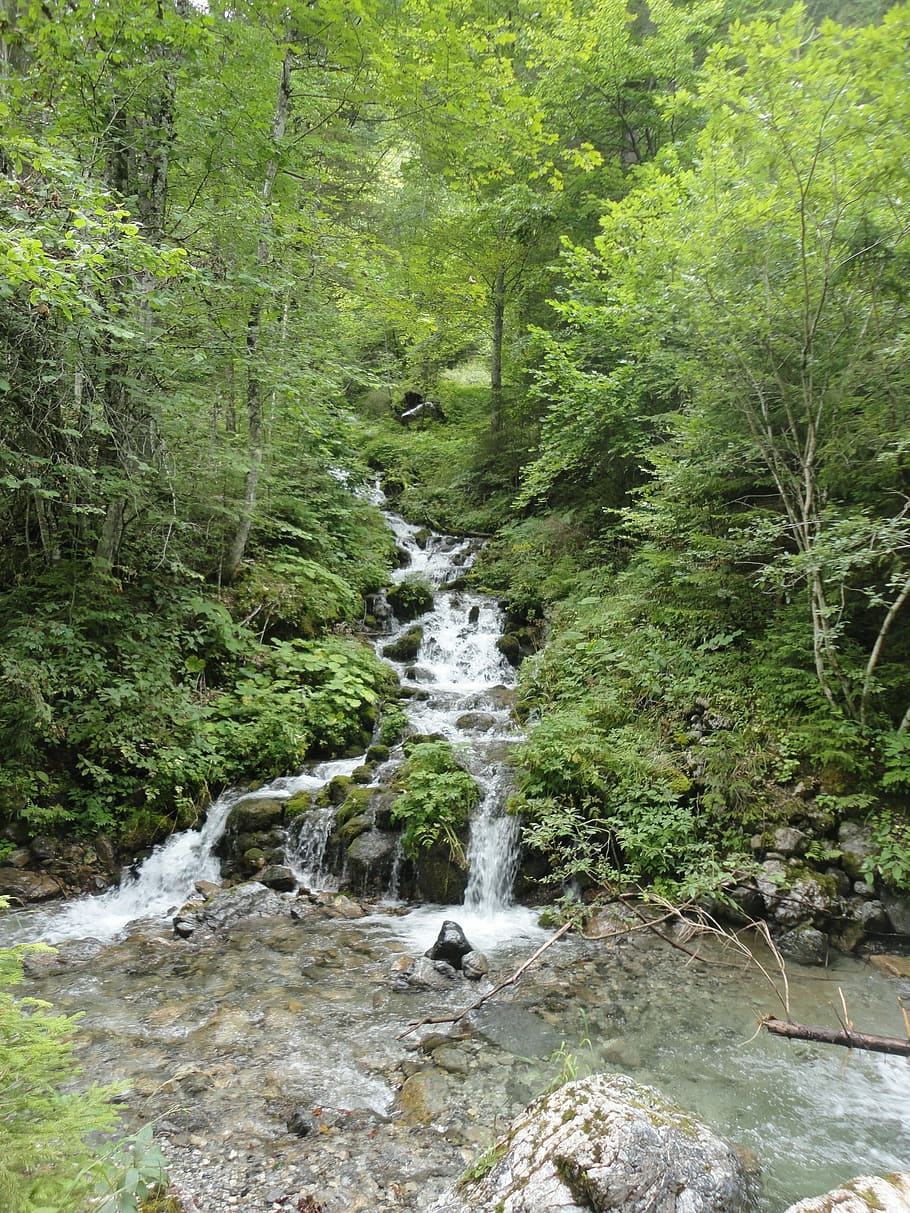 Waterfall, Bach, Forest, Nature, austria, styria, natural water HD wallpaper