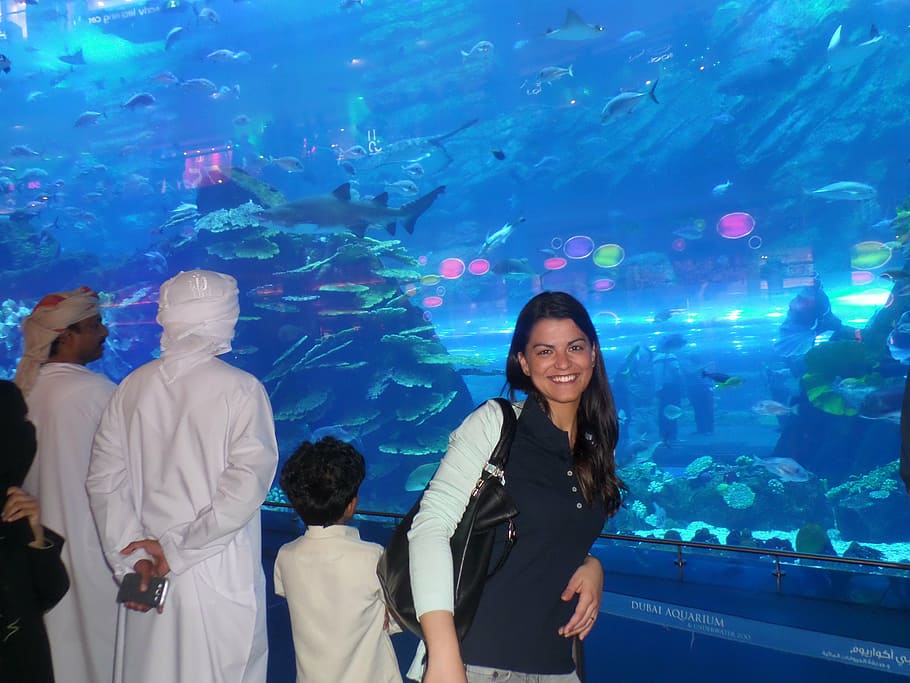 aquarium, laura, fish, water, real people, leisure activity HD wallpaper