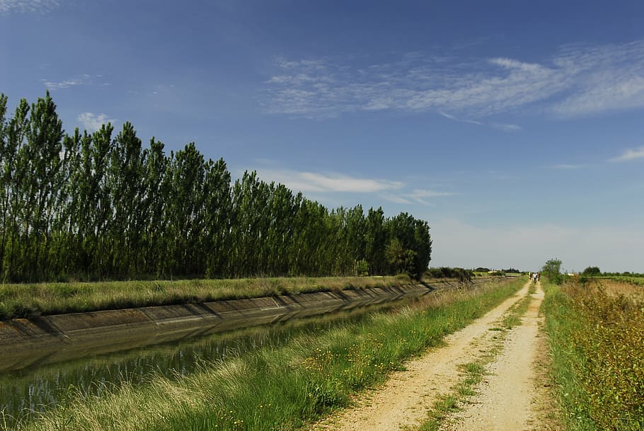 path, horizon, channel, tree, france, nature, rural Scene, agriculture HD wallpaper