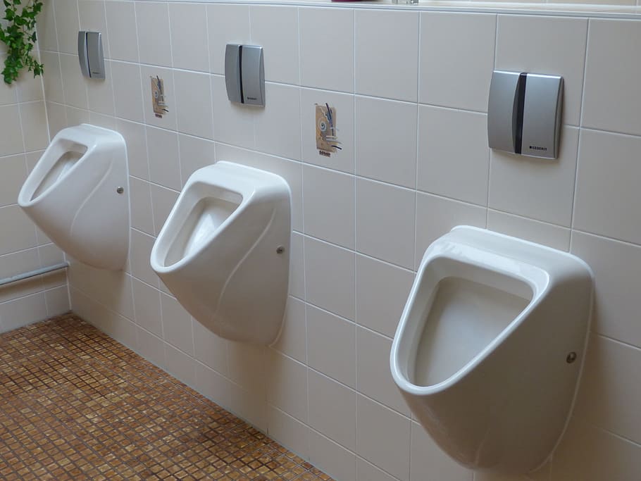 white ceramic urinals, Toilet, Wc, Public, public toilet, man toilet
