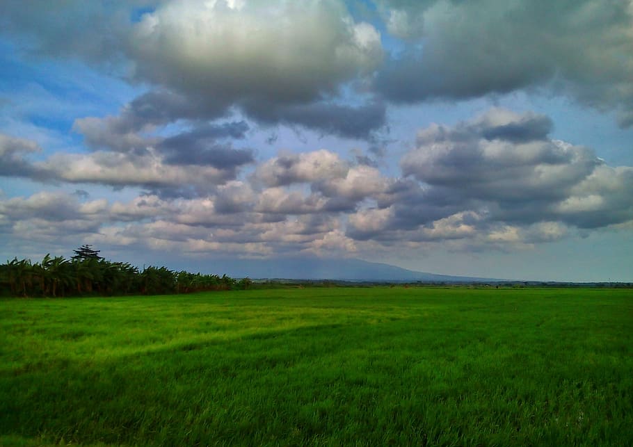 green, cloud, nature, blue, view, landscape, environment, plant HD wallpaper