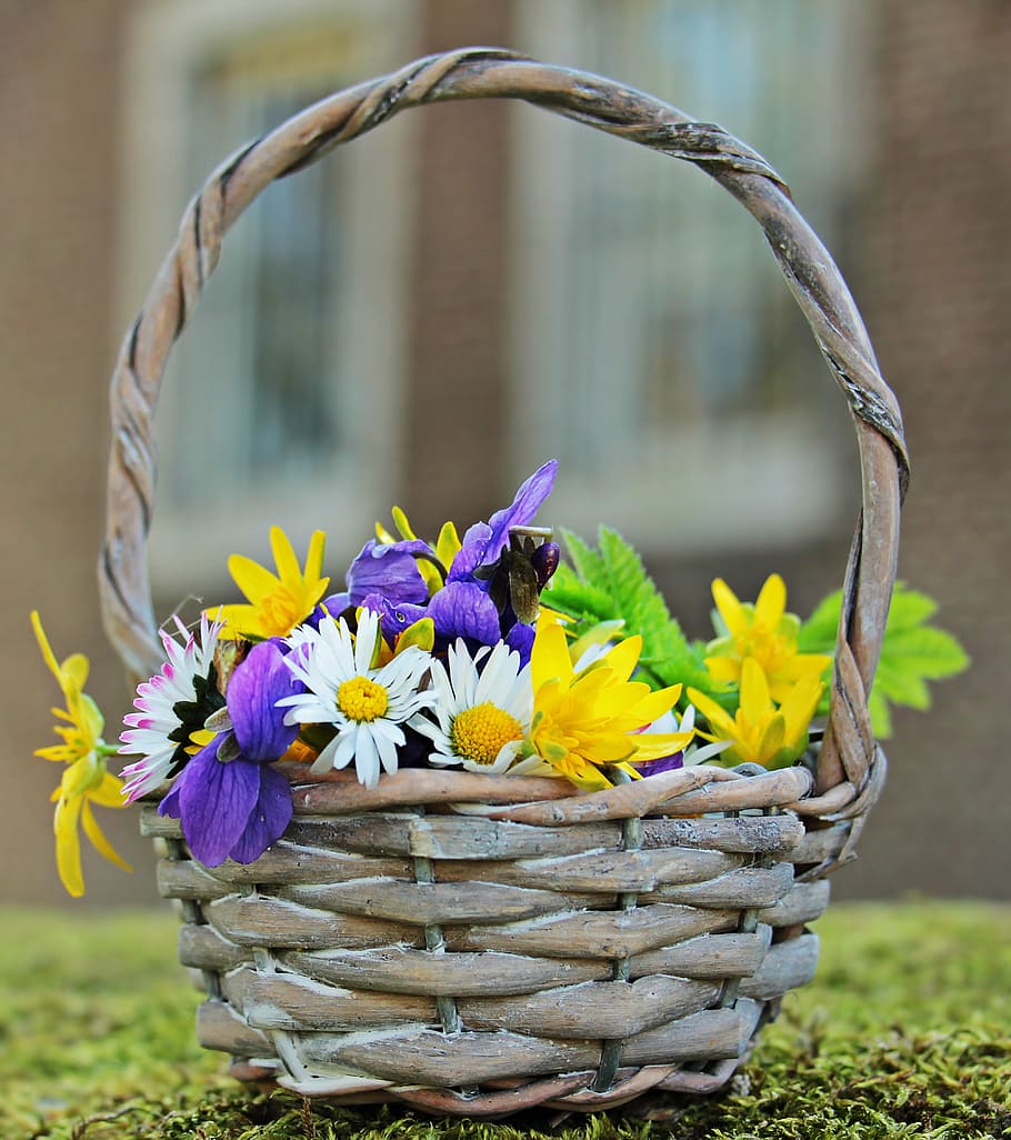 selective focus photo of flowers on basket, wildflowers, wild flowers