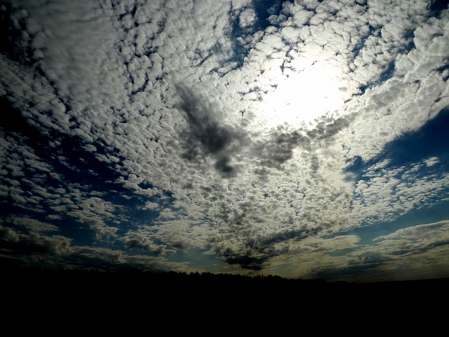 Cloud, Fluffy, White, sky, blue, in the evening, cloud - sky HD wallpaper