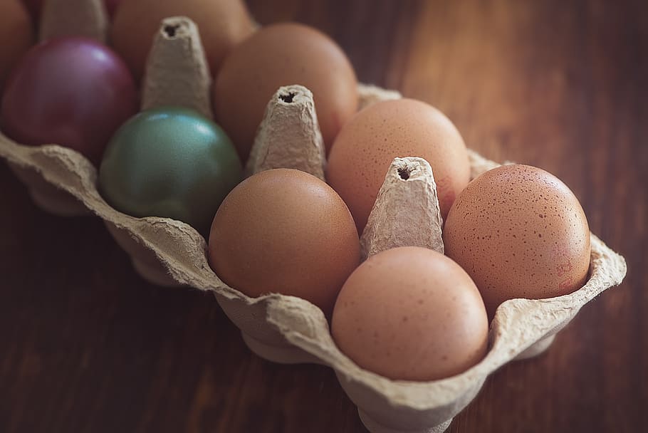 egg, chicken eggs, easter eggs, egg box, 10er pack, egg carton HD wallpaper