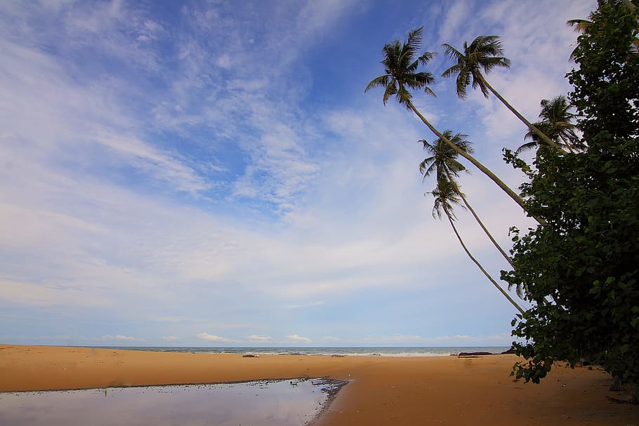 Blue Sky Above Beach during Daytime, clouds, coconut trees, daylight HD wallpaper