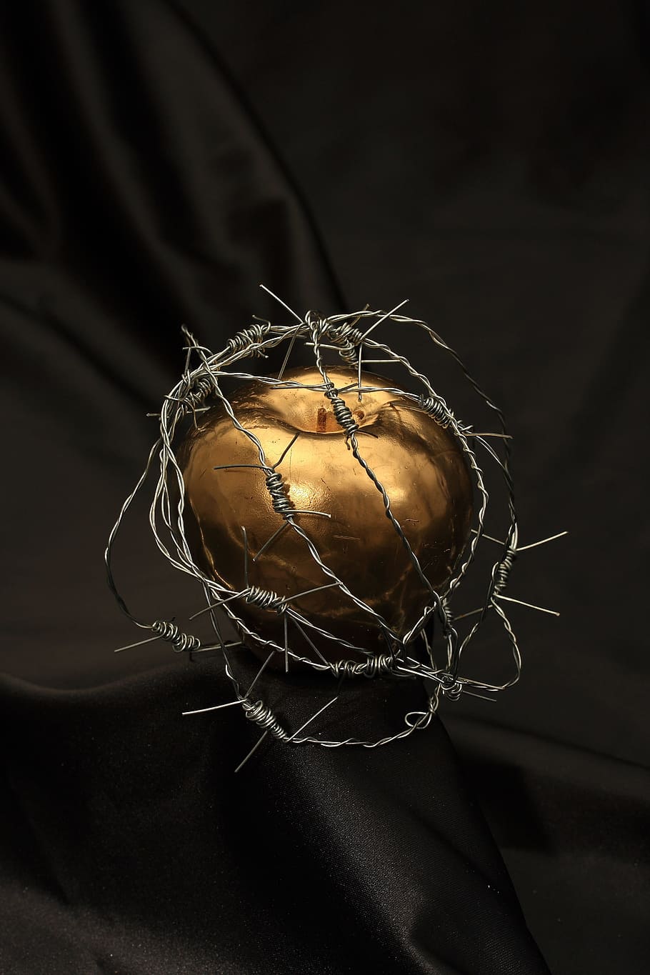 gold apple covered with barbed wires table decor, dea, paint HD wallpaper